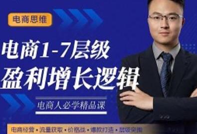 大圣:电商1-7层级盈利增长底层逻辑课(线上视频课),用简单的话,让你掌握电商盈利的底层逻辑-冒泡网