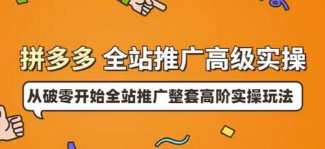 拼多多全站推广高级实操:从破零开始全站推广整套高阶实操玩法-冒泡网