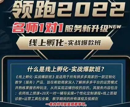 牛气学堂老陶电商【第9期】,拼多多名师线上领跑28天,线上孵化-实战爆款班-冒泡网