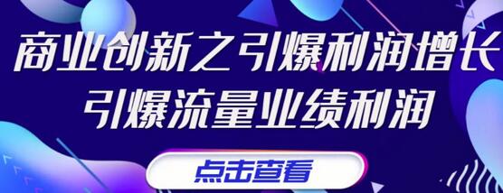 张琦《商业创新之引爆利润增长》引爆流量业绩利润-冒泡网