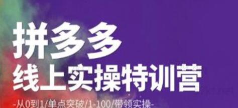 青云:拼多多运营实操特训营:从0到1/单点突破/1-100/带领实操价值2980元-冒泡网