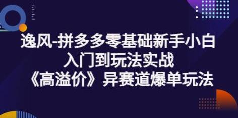 逸风-拼多多零基础新手小白入门到玩法实战《高溢价》异赛道爆单玩法实操课-冒泡网
