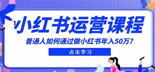 最适合普通人的小红书入门课程:普通人如何通过做小红书年入50万-冒泡网