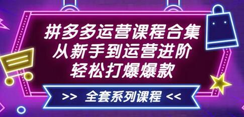 拼多多运营课程合集:从新手到运营进阶,轻松打爆爆款(全套系统课程)-冒泡网