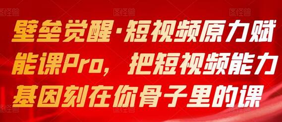 壁垒觉醒·短视频原力赋能课Pro,把短视频能力基因刻在你骨子里的课-冒泡网