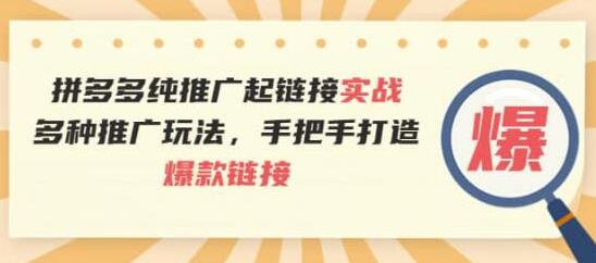 拼多多纯推广起链接实战:多种推广玩法,手把手打造爆款链接-冒泡网