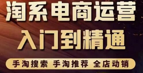 淘系电商入门到精通手淘搜索,手淘推荐,全店动销(价值1099元)-冒泡网