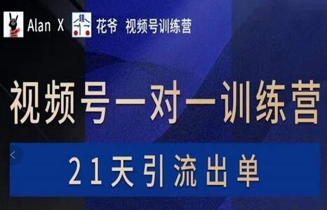 AlanX花爷·视频号引流出单训练营,视频号引流出单必杀技-冒泡网
