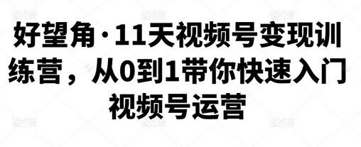 好望角·11天视频号变现训练营,从0到1带你快速入门视频号运营-冒泡网