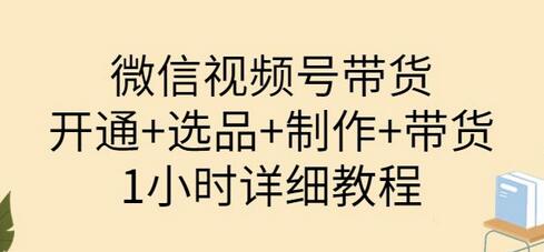 陈奶爸·微信视频号带货:开通+选品+制作+带货(1小时详细教程)-冒泡网
