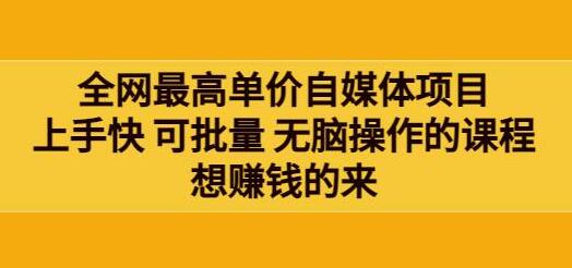全网最高单价自媒体项目：上手快 可批量 无脑操作的课程，想赚钱的来-冒泡网