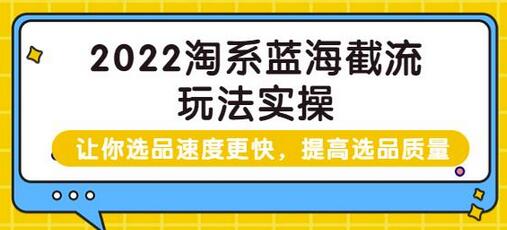 2022淘系蓝海截流玩法实操:让你选品速度更快,提高选品质量(价值599)-冒泡网