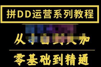 2022全套拼多多核心实操课程,从0-1轻松起链接实战,低投入高产出运作店铺-冒泡网