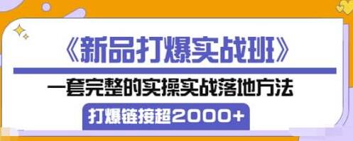 《新品打爆实战班》一套完整的实操实战落地方法，打爆链接超2000+（38节课)-冒泡网