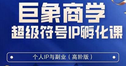 巨象超级IP孵化高阶陪跑课,建立流量思维底层逻辑,打造属于自己的IP-冒泡网