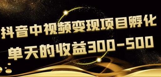黄岛主抖音中视频变现项目孵化,单天的收益300-500操作简单粗暴-冒泡网