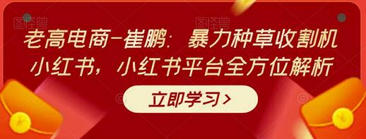老高电商-崔鹏：暴力种草收割机小红书，小红书平台全方位解析-冒泡网