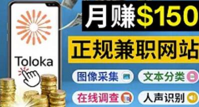 正规网络兼职赚钱平台Toloka，利用业余时间月赚150美元-冒泡网