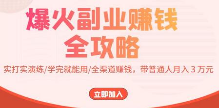 爆火副业赚钱全攻略:实打实演练/学完就能用/全渠道赚钱,带普通人月入3万元!-冒泡网