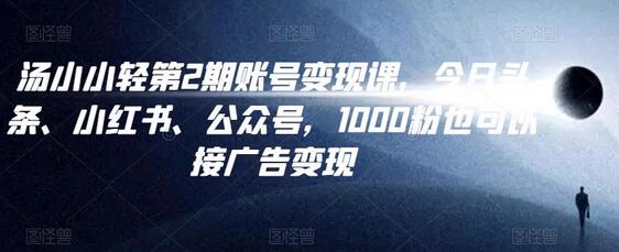 汤小小账号变现课第2期,今日头条、小红书、公众号,1000粉也可以接广告变现-冒泡网
