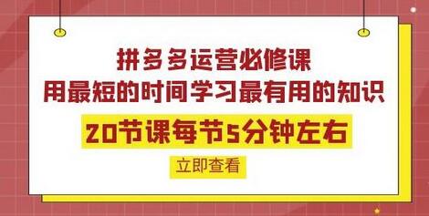 拼多多运营必修课:20节课每节5分钟左右,用最短的时间学习最有用的知识-冒泡网