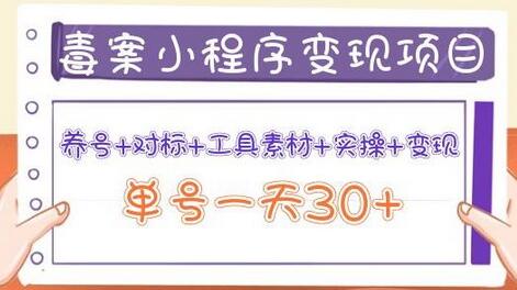 森罗万项毒案小程序变现项目:养号+对标+工具素材+实操+变现,单号一天30+-冒泡网