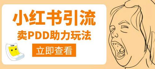 利用小红书卖拼多多助力,日赚100+,顺便还能引个流【视频课程】-冒泡网