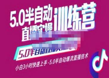 蚂蚁·5.0半自动直播2345心法,小白3小时快速上手,5.0半自动爆流直播技术-冒泡网