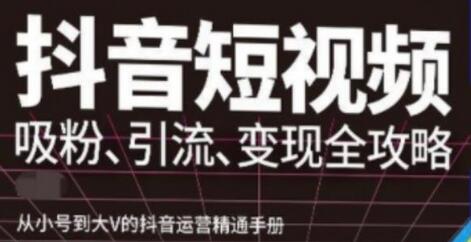 抖音视频号高级实操与理论课程：吸粉、引流、变现全攻略，从小号到大V的抖音运营精通手册-冒泡网