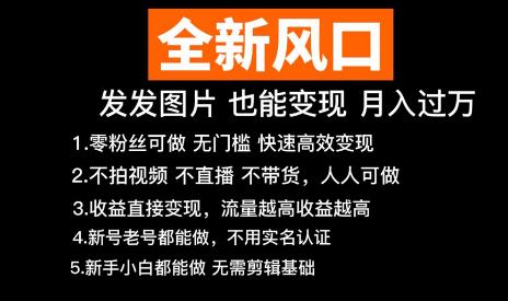 【全新风口】抖音头像号变现零基础教程，发发图片，月入过万-冒泡网
