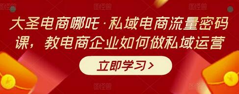 大圣电商哪吒·私域电商流量密码课,教电商企业如何做私域运营-冒泡网