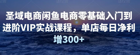 圣域电商闲鱼电商零基础入门到进阶VIP实战课程,单店每日净利增300+-冒泡网