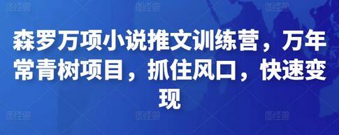 森罗万项小说推文训练营,万年常青树项目,抓住风口,快速变现-冒泡网