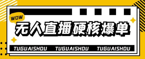 大飞无人直播硬核爆单技术，轻松玩转无人直播，暴利躺赚-冒泡网