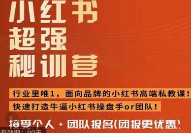 小红书超强密训营，爆文制造技巧，低预算高roi投放技巧，内容营销思维-冒泡网