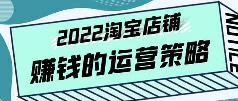 震宇老师·2022年淘宝店铺赚钱的运营策略,一套能够盈利的赚钱打法-冒泡网