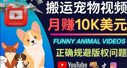 搬运TIKTOK视频到YouTube,并进行二次创作,月赚1万美元以上-冒泡网