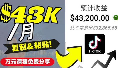 2022抖音国际版Tiktok赚钱项目:每天上传一个视频就轻松月入$43200-冒泡网