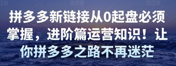 拼多多新链接从0起盘必须掌握,进阶篇运营知识!让你拼多多之路不再迷茫-冒泡网