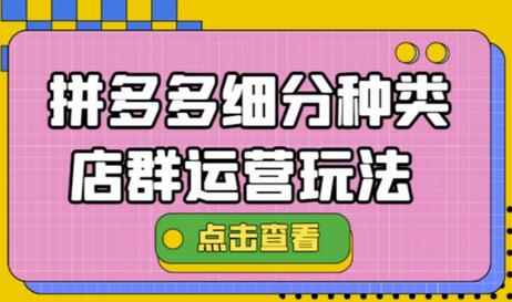 拼多多细分种类店群运营玩法3.0,11月最新玩法,小白也可以操作-冒泡网