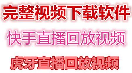 快手直播回放视频/虎牙直播回放视频完整下载(电脑软件+视频教程)-冒泡网