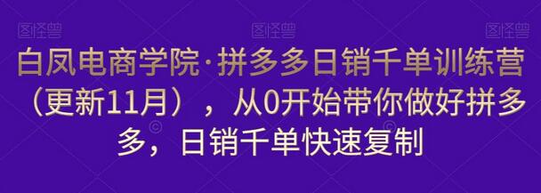 白凤电商学院·拼多多日销千单训练营(更新11月),从0开始带你做好拼多多,日销千单快速复制-冒泡网