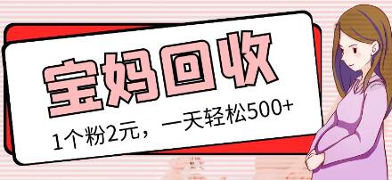 最新小红书母婴号宝妈粉回收项目，1个粉2元，一天轻松500+案例分享【粉丝包回收】-冒泡网