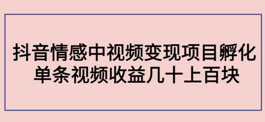 黄岛主副业孵化营第5期：抖音情感中视频变现项目孵化单条视频收益几十上百-冒泡网