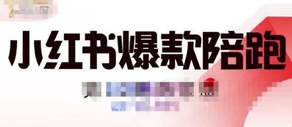 贾真小红书陪跑班第11期,从人设定位,账号设置,选品思路,拍照教程,发文流程等-冒泡网