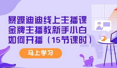 暴躁迪迪线上主播课,金牌主播教新手小白如何开播(15节课时)-冒泡网