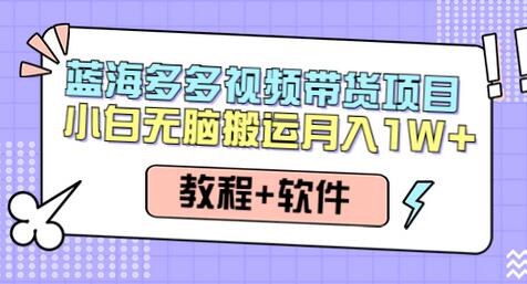 多多视频带货项目,搬运日入过万,0成本,轻松实现躺赚(教程+软件)-冒泡网