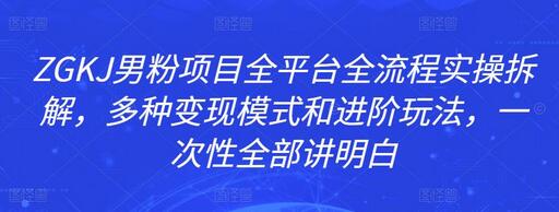 ZGKJ男粉项目全平台全流程实操拆解,多种变现模式和进阶玩法,一次性全部讲明白-冒泡网