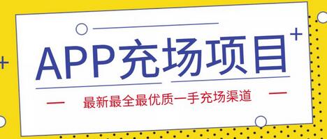 外面收费9800的APP充场项目,实操一天收入800+个人和工作室都可以做-冒泡网