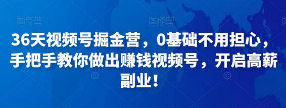 36天视频号掘金营,0基础不用担心,手把手教你做出赚钱视频号,开启高薪副业!-冒泡网